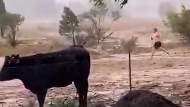 The drought-stricken town of Dubbo was hit by the first heavy rainfall in more than 100 days. Supplied Storyful