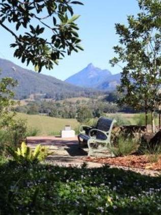 The Margaret Olley Memorial Garden (MOMG) at the Tweed Regional Gallery. Picture: Tweed Shire Council.