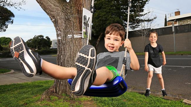 Rafi, 7, with his brother Arlo, 3, wants to keep the tree swing at his grandparents' house after Bayside Council ordered it to be removed. Picture: Mark Stewart