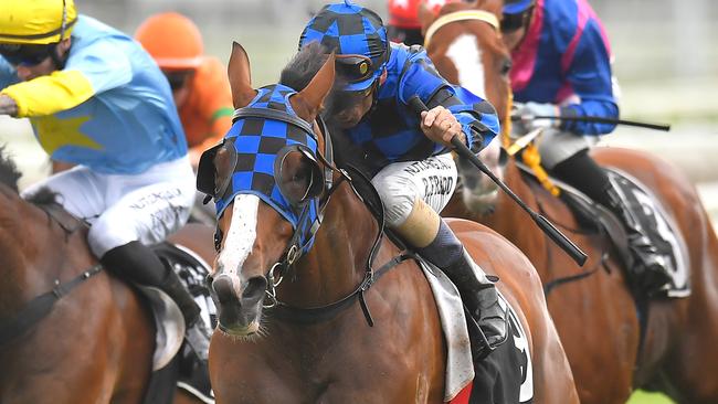 Plitvice won well at Eagle Farm last month. Picture: AAP