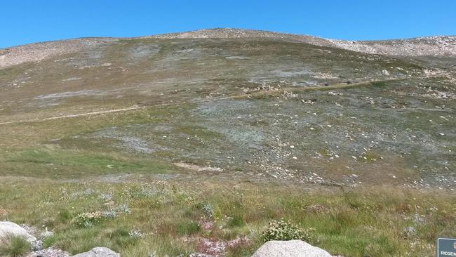 Mt Kosciuszko: Easier to climb than spell.