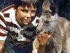 Actor Gary Pankhurst with kangaroo in scene from TV programme |Skippy|.