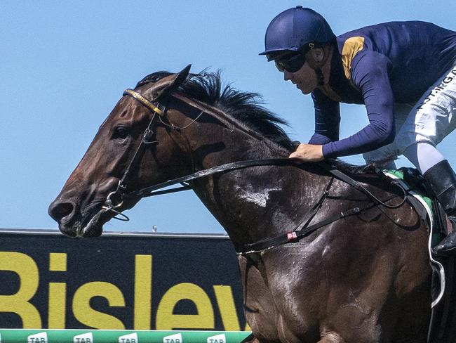 Jockey Ryan Maloney rode the Toby and Trent Edmonds-trained Jetty to a win in the QTIS Two-Years-Old Handicap (1200m) at the Gold Coast Turf Club on April 17, 2020. Picture credit: Greg Irvine.