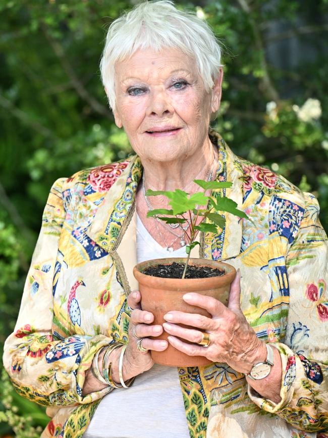 Dench lives in a village in Surrey, England. Picture: Jeff Spicer/Getty Images