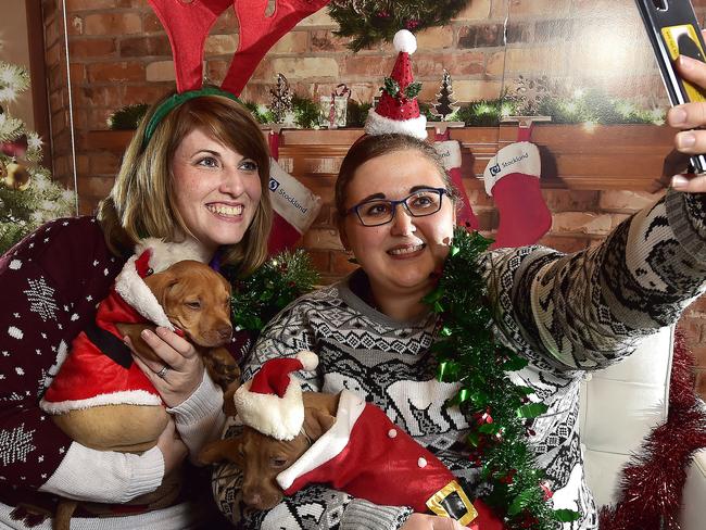 Angel Paws volunteers Raechelle Rauwerda and Zoe Bradwell with dressed-up adoption pups Armarni and Versace. Picture: Matt Taylor