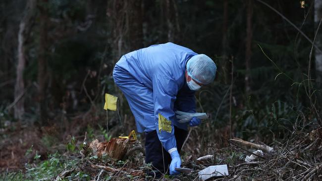 Police conduct a search in Good Night Scrub National Park looking for the missing 17 year old Pheobe Bishop. Pics Adam Head