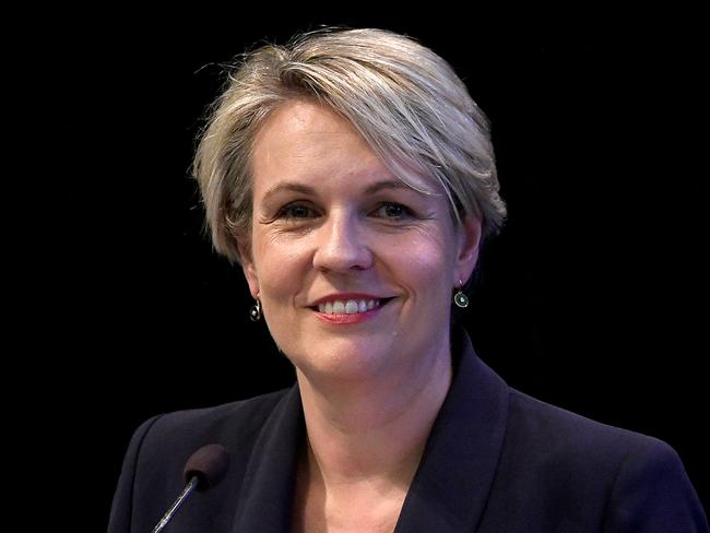 Shadow Minister for Education Tanya Plibersek addresses a Labor conference at the Chifley Auditorium in Sydney, Sunday, December 8, 2019. (AAP Image/Bianca De Marchi) NO ARCHIVING