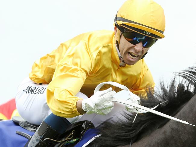 Derby Day Races at Flemington, Race 4, Coolmore Stud Stakes 1200m , Joao Moreira wins onboard Brazen Beau. Melbourne. 1st November 2014. Picture : Colleen Petch