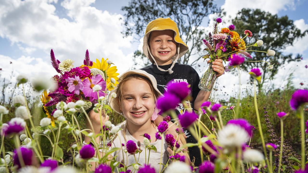 Gallery: Blooming gorgeous picks in Lockyer Valley farm’s flower fun