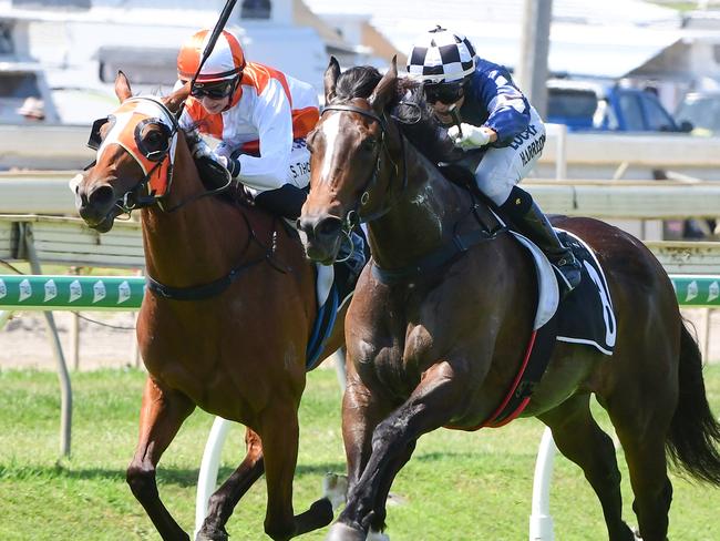 Tegan Harrison (outside) rides Highway to win at Doomben last Saturday, narrowly beating Steph Thornton on Ready Set Boom. Photo: Grant Peters, Trackside Photography