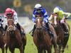 The Everest: Ray and Duff assess every runner
