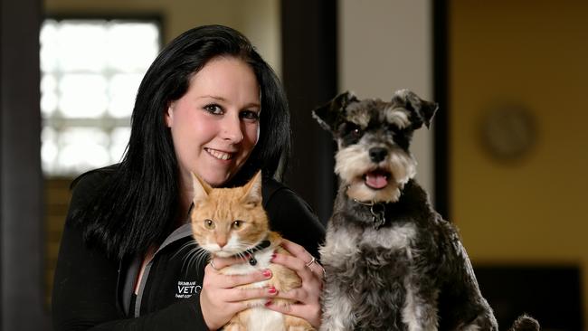 Healy is a veterinary nurse. She has adopted a young cat named Tyrion, who has become best friends with her dog Blaze. She wants to highlight the importance of microchipping and desexing cats. Picture: Mark Stewart