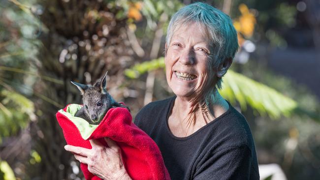 Annie Smit from the Macedon Ranges Wildlife Network makes joery Birubi comfortable in one of the supplied animal pouches. Picture: Rob Leeson