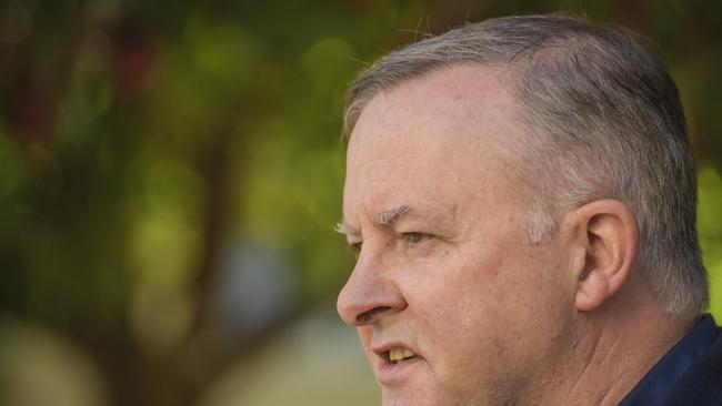 Anthony Albanese speaks to reporters. Picture: Roy Van Der Vegt