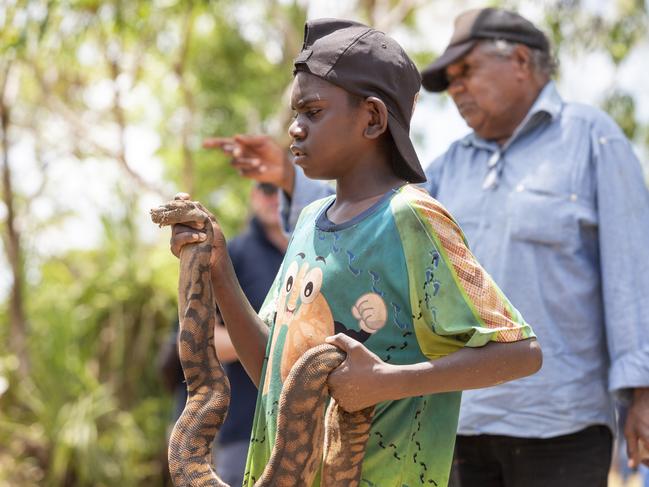 Gapuwiyak boy Abraham Ganambarr holding a File Snake at the AACAP closing ceremony. Picture: Floss Adams.