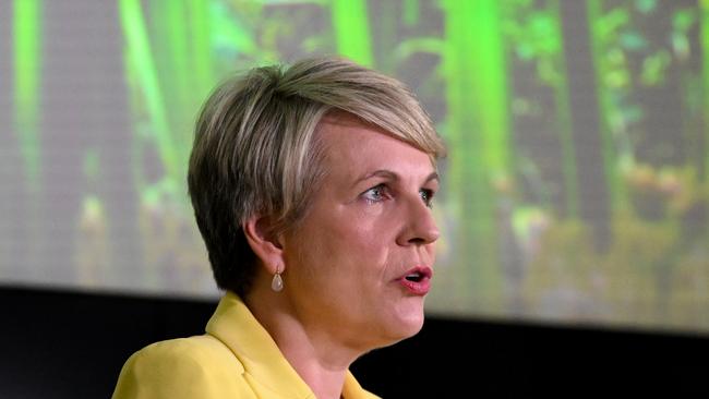 Federal water minister Tanya Plibersek says she is determined to deliver the Murray Darling Basin Plan in full. Picture: Dan Peled