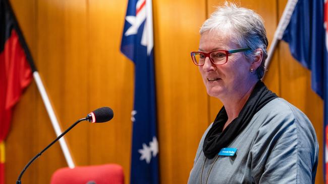 Shoalhaven City Council Mayor Amanda Findley said the council has given Nowra Lions more money than before to put on the show.