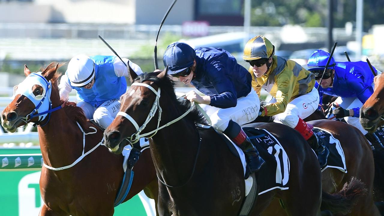 Jockeys have been warned they face severe penalties if they break the whip rules in the Group 1 Stradbroke Handicap. Picture: Grant Peters-Trackside Photography