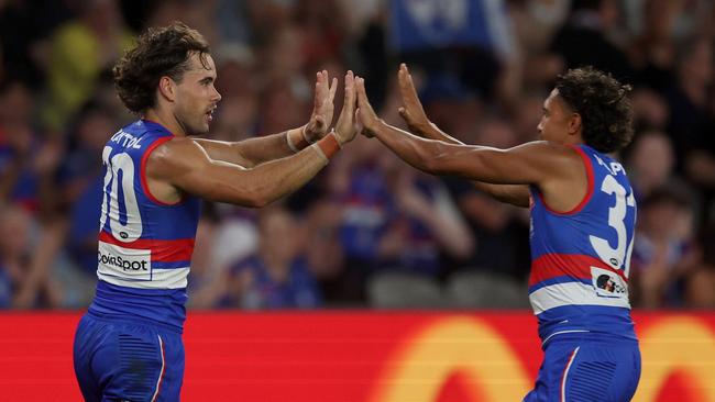 The Dogs are off and running. (Photo by Daniel Pockett/Getty Images)