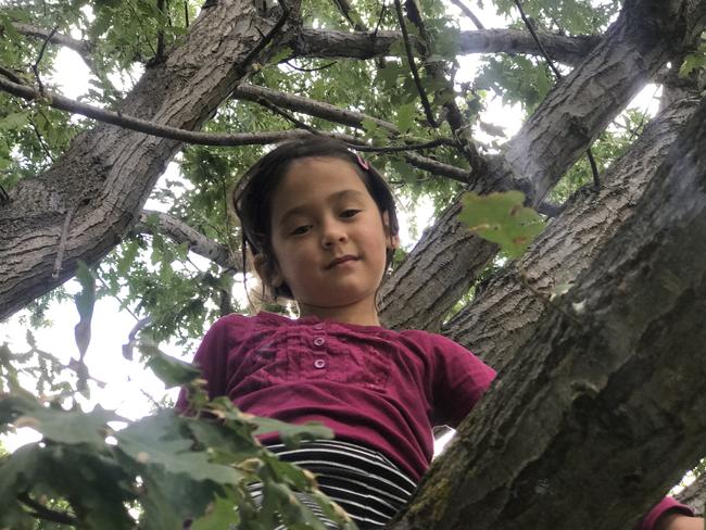 Ginger loves seeing the delight in her kids’ faces when they climb trees.