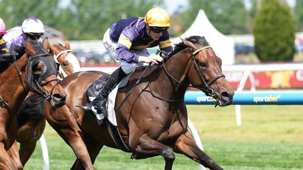 Whisky On The Hill is aiming to secure a Melbourne Cup spot with a win in the Bendigo Cup. Picture: Scott Barbour/Racing Photos via Getty Images