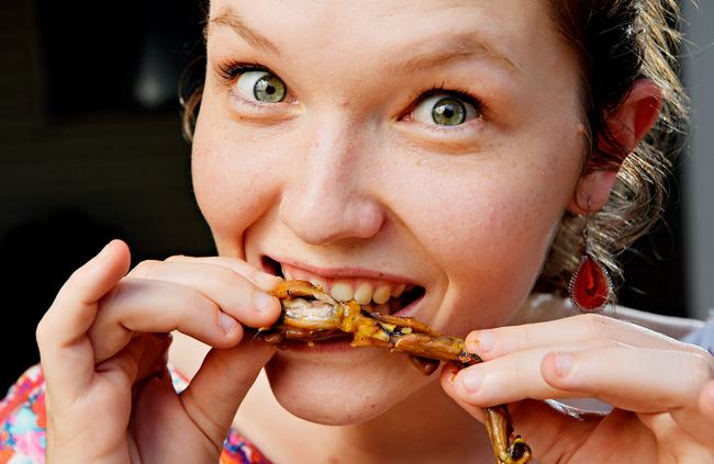 Croc reporter Judith Aisthorpe spends her spare time eating cane toads.