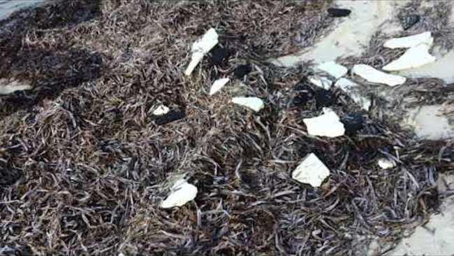 Debris from shipping container spill causes widespread pollution along NSW coast