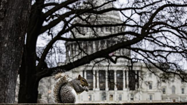 The Democrats have finished giving evidence in Donald Trump’s impeachment trial. Picture: AFP.