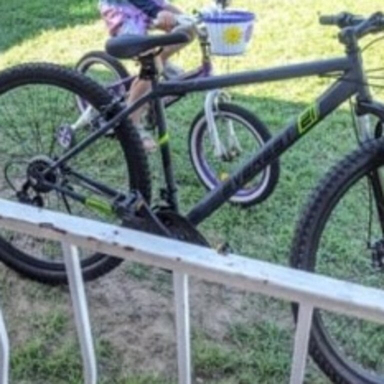 Branded Shimano Everest 21, this mountain bike is grey and green in colour and was allegedly stolen from a residential property.