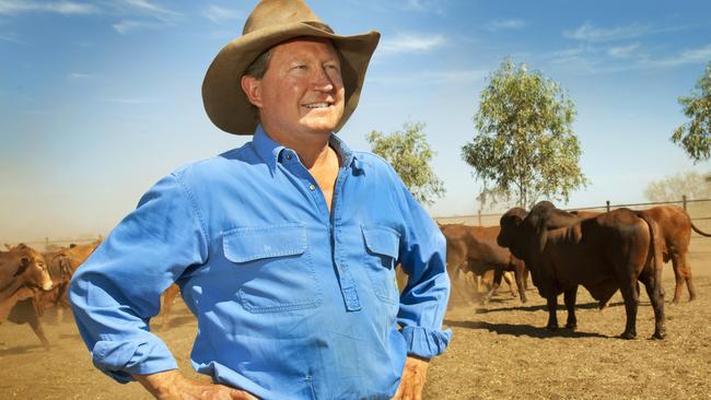 Andrew Forrest is taking a look at Lion’s dairy assets, up for sale after the rejection of a Chinese deal.