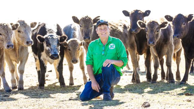 Michael De Kort on his Clunes farm with his cattle. Picture: Zoe Phillips