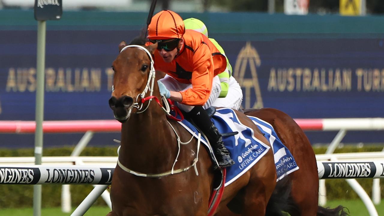 Mogo Magic will make his return at Eagle Farm on Saturday. Picture: Getty Images