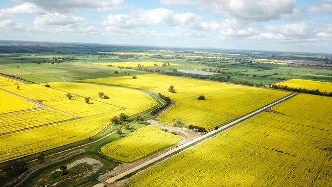 The Millers have used their aggregation for a dryland cropping program with wheat, barley and canola crops, seeing yields of up to seven tonnes a hectare for wheat and 3.5 tonnes for canola.