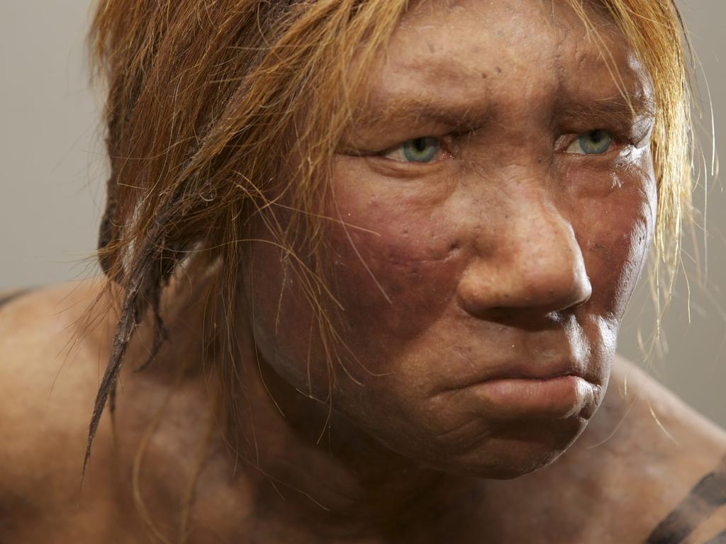 Teenager Had Neanderthal For A Mum Denisovan For A Dad The Courier Mail