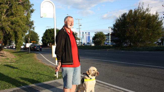 can dogs travel on translink