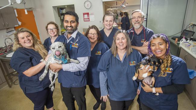 Number 10: The team at Fawkner Veterinary Hospital. Picture: Rob Leeson