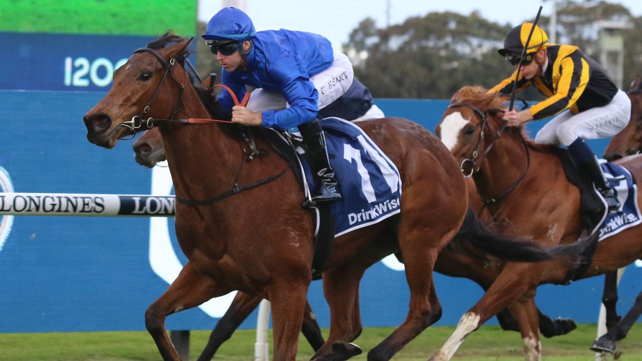 In Secret (pictured) and Golden Mile are striving to give Godolphin and James Cummings a third straight Sydney Group 1 this spring in the Golden Rose. Picture: Grant Guy