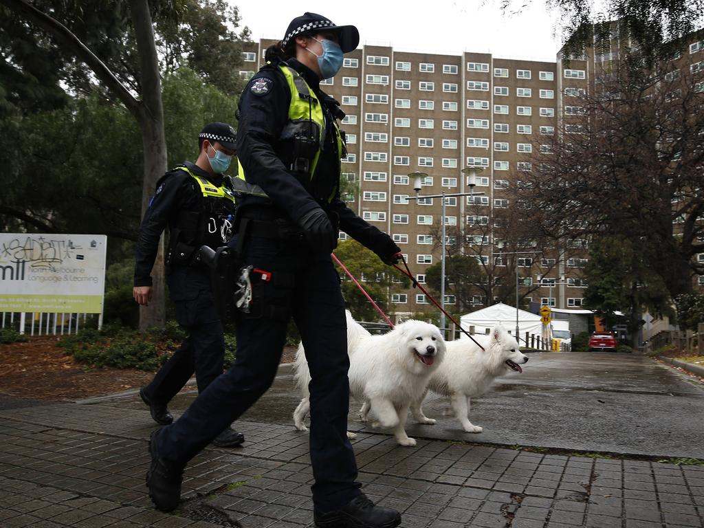 Police walking dogs assumed to be owned by residents locked down in a North Melbourne public housing. Picture: NCA NewsWire/Daniel Pockett