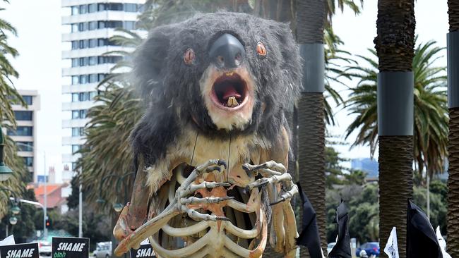 Extinction Rebellion Protest at Catani Gardens in St Kilda on Saturday. Picture: Josie Hayden