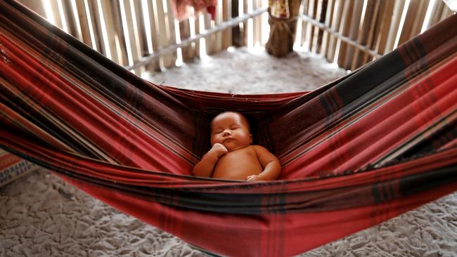 Sleeping like a baby may have been our proto-state.