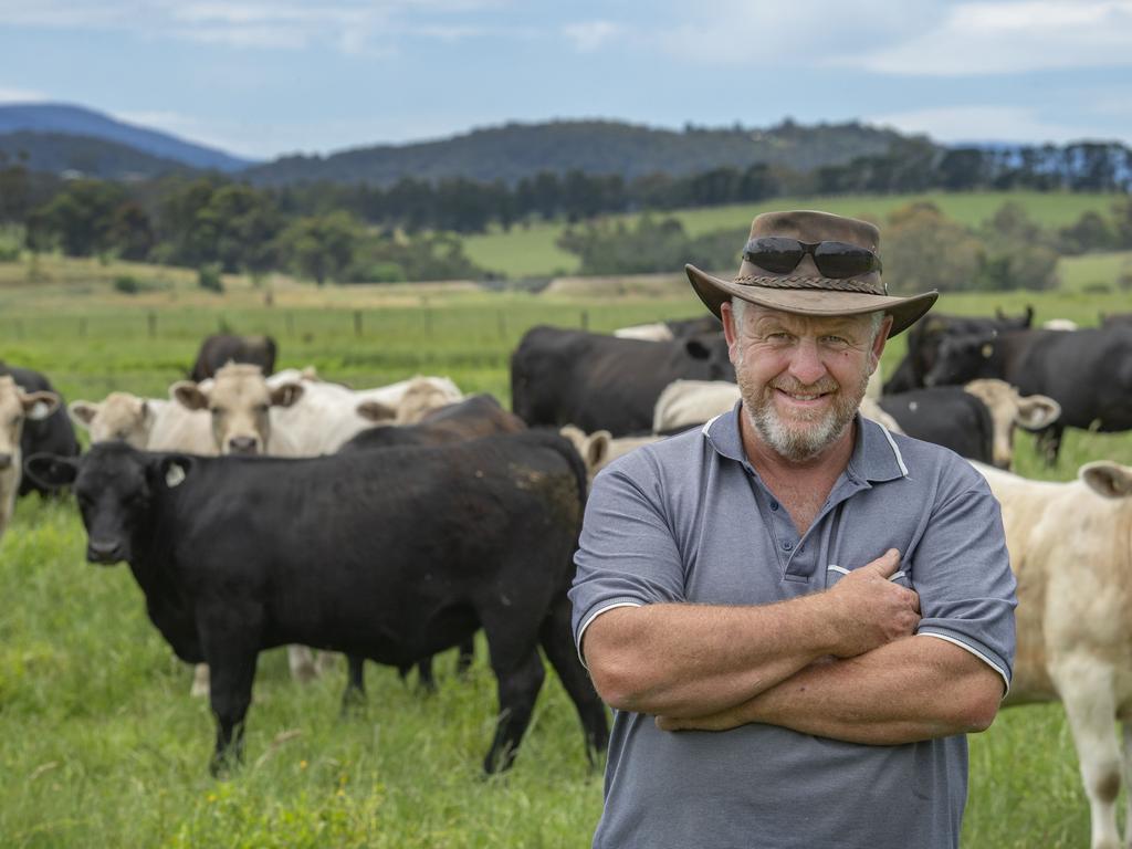 Livestock | Australian Livestock News and Sales | The Weekly Times