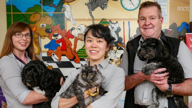 Number 9: Knox Veterinary Clinic vets Laura Daly with Beau, Sam Ho with Maggie and Kent Marshall with Harvey. Picture: Ian Currie