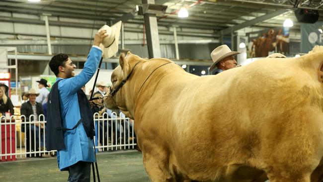 The Royal Melbourne Show will not go ahead this year. Picture: ANDY ROGERS