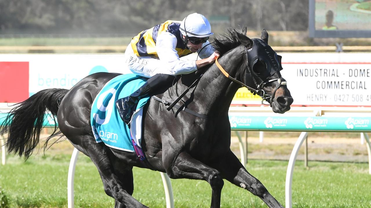 Sea King made a mess of his rivals in the Bendigo Cup. Picture: Brett Holburt/Racing Photos via Getty Images