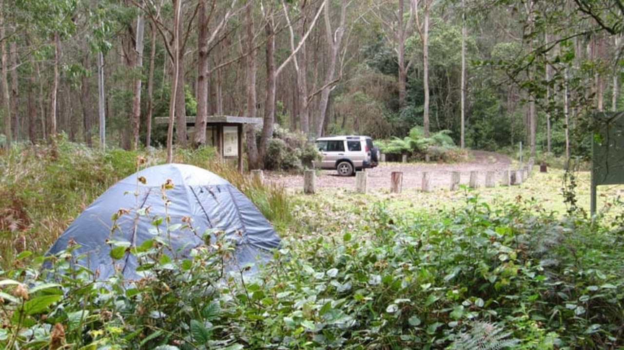 Youngville Campground, Mount Royal National Park