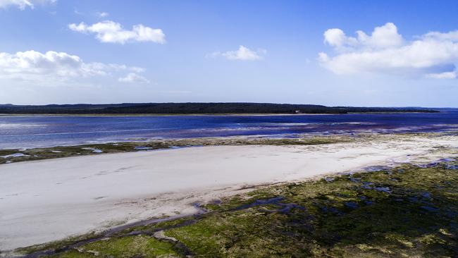 The proposed site of the start of the bridge to Robbins Island. Picture: CHRIS KIDD