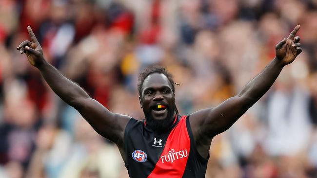 The Bombers faithful was up and about when Anthony McDonald-Tipungwuti kicked his first goal. Picture: Dylan Burns/AFL Photos via Getty Images