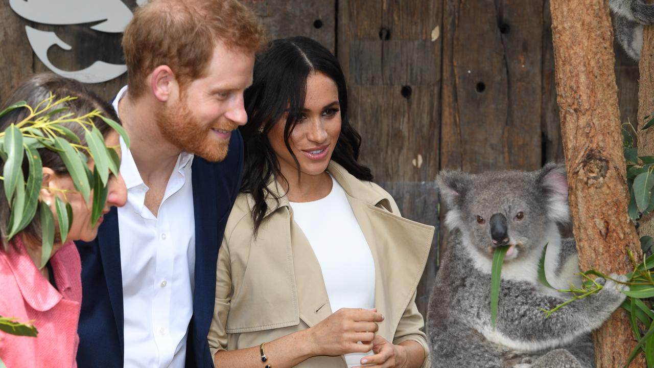 The next time the Duke and Duchess of Sussex, Harry and Meghan, visit Australia, there might not be many koalas left. Picture: AAP Image/Dean Lewins