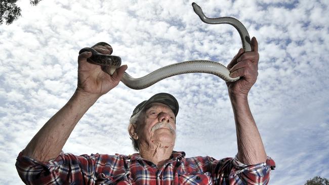 Snakes - Campbelltown City Council