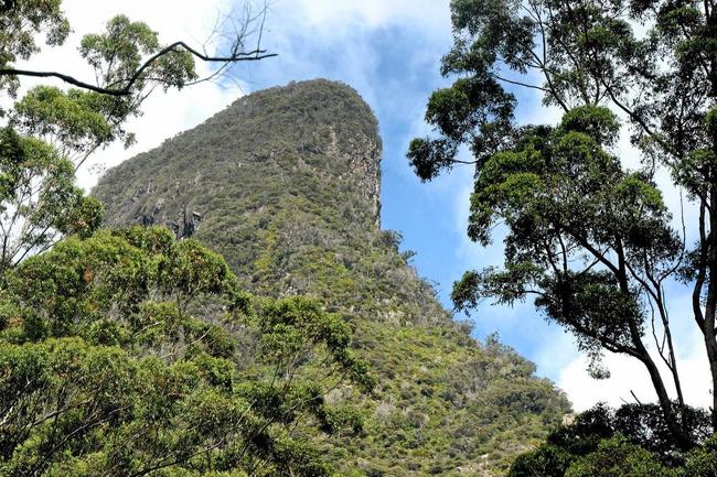 Mt Warning Photo: John Gass / Tweed Daily News. Picture: John Gass